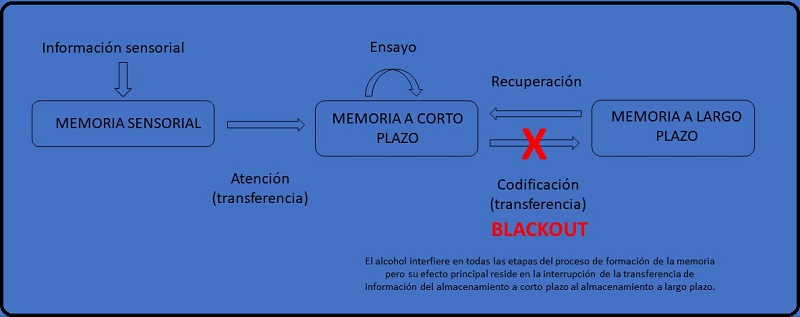 mecanismo del blackout por alcohol