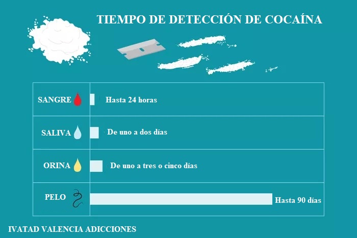 tiempo detección cocaína